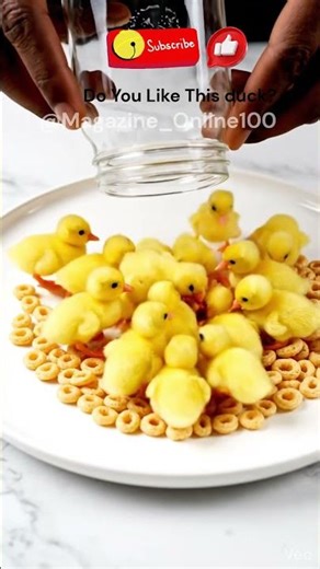 Cute Baby Duck #ai #asmr #short