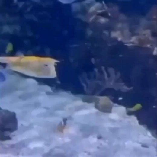 Don't insult Pisces placements like dat