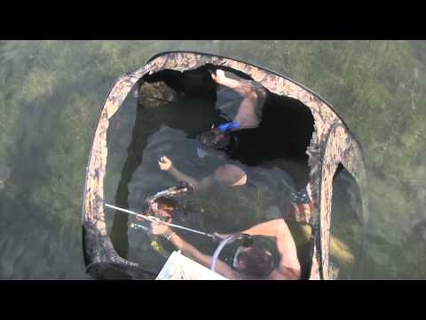 Bowfishing under water? (clip from Animal House Outdoors)
