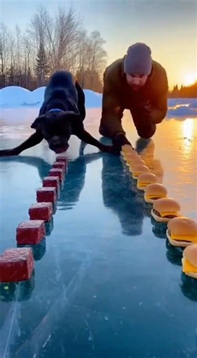 My Pet DESTROYED Me in an Eating Challenge 😱