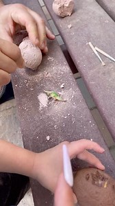 Watch hours of family fun on Amazon Live