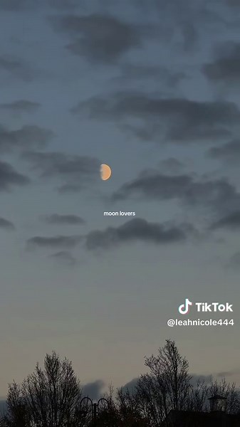 Best Pictures of the Moon: Share Your Favorites