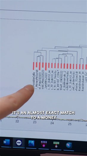 306K views · 3.9K reactions | Can it be explained? | The Curse of Oak Island | Facebook