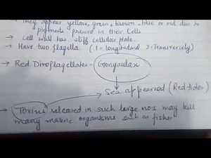 CH-2-02 Biological classification CLASS 11 TH