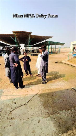 Mian MNA Dairy Farm: Quality Fresh Milk