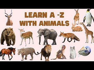 ABC Animal Names & Sounds | The Animal Alphabet | Learn A to Z Animal Names
