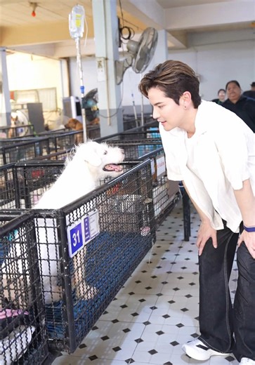 birthday vlog🎂🩶🐈‍⬛ 🐕 ขอบคุณทุกคำอวยพรนะครับ ขอให้ทุกคนเจอแต่สิ่งดี ๆ เหมือนที่เราตั้งใจส่งต่อวันนี้นะครับ #taostp