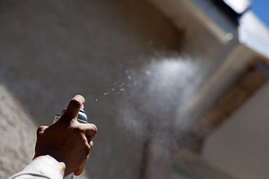 Is Wasp Spray Harmful To Plants? - Pest Control IQ