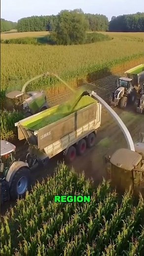 Ultimate Corn Harvesting Machine in Action | Fastest Silage Harvester!