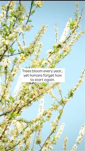 #nature #lifequotes #deepthoughts #spring #mindset #naturelovers #shorts