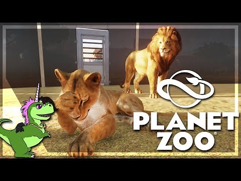 PLANET ZOO : Sortie des FÉLINS : LIONS et TIGRES ! #14
