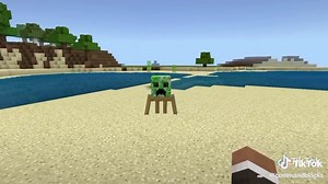 Command Blocks on TikTok