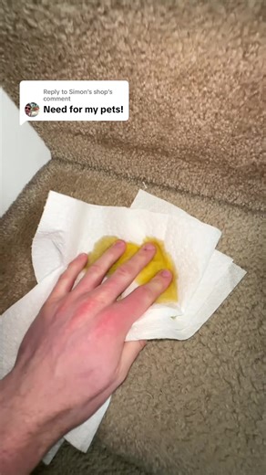 Effective Stain Removal Tips for Your Fabrics