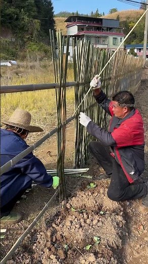 Learn this trick, and you can build a natural fence for your garden too.