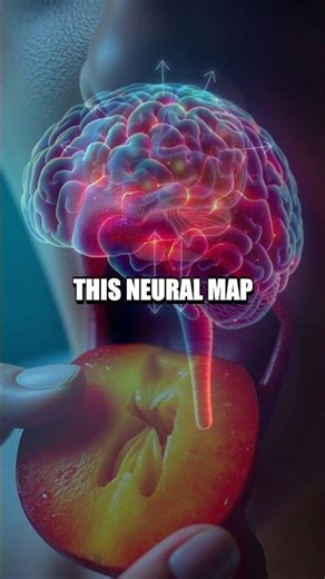 Did You Know The Brain’s Hidden Taste Map