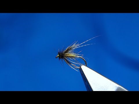 Tying a Soft Hackle Caddis Wet Fly by Davie McPhail