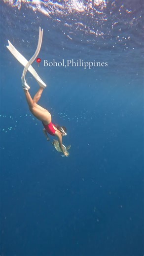 Under the Sea, The best feeling #freediving #mermaid #napalingcrack #freedivingbohol #bohol