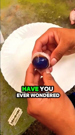 What’s Inside a Cow’s Eye? The Shocking Truth! 👀🐄