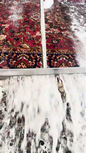 Satisfying Scraping Cleaning Moments
