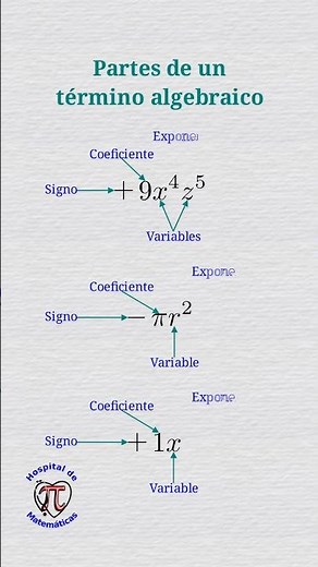 Partes de un término algebraico.