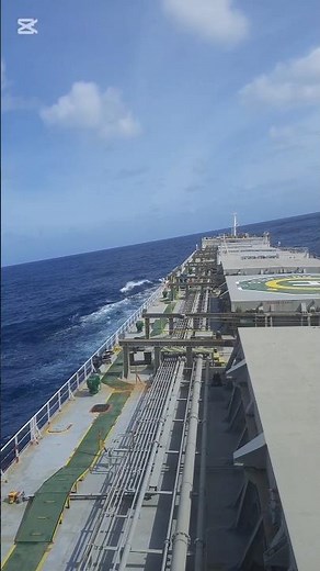 What Is a Bulk Carrier? ⚓ Ships Explained in 30 Seconds #oceancarrier #maritimetechnology #bulk