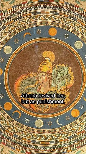 What Happens When Arachne Defies Athena
