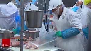 La moitié des éclosions ont lieu dans les milieux de travail dans nos régions. | ICI Québec