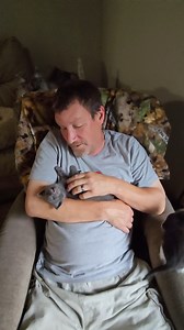 Dad falling in love with baby foster kittens mom brought home 😂 | Brady Medearis