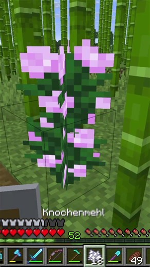 Here's how to propagate large flowers in Minecraft.