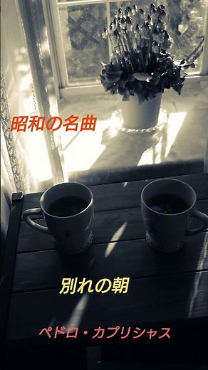 別れの朝＃shorts＃昭和の名曲＃ペドロ・カプリシャス
