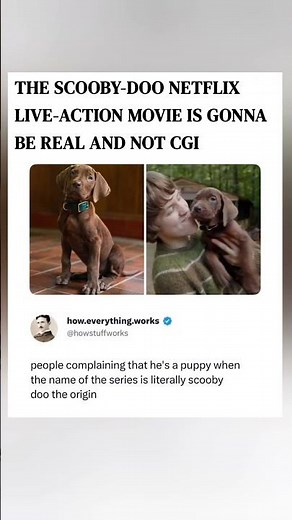 A real dog for the new live-action Scooby-Doo origin movie?! 🐕👀 #ScoobyDoo #movie #shorts #viral