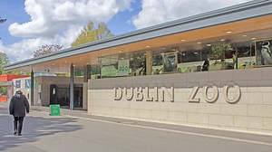 Dublin Zoo bosses draft in specialist team after visitor makes 'grim' discovery