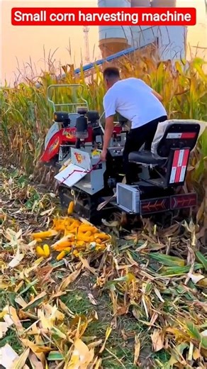 Small corn harvesting machine 😱 #shorts #shortsfeed #trending