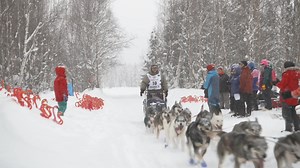 Like so much of the world that has been changed by a virus. Iditarod seeks to adapt and move forward. This race has settled on a truly wilderness adventure, one designed to avoid population but keep the spirit of the race alive. Find the broadcast schedule at Iditarod.com/race/broadcast-schedule | The Iditarod