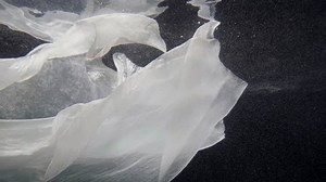 Mysterious Depth Pool Sea Underwater Slow Stock Footage Video (100% Royalty-free) 1105746065 | Shutterstock