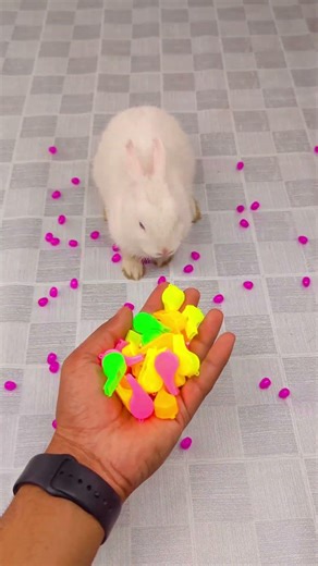 🌈🐇 Satisfying ✨ Reverse Video ASMR 🌹 #satisfying #reverse #asmr #videos #shorts #ytshorts #bunny