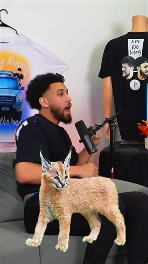 Are Humans Animals? Exploring Our Animalistic Nature