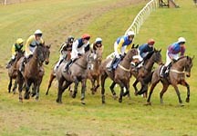 Jockey wins six races at one point-to-point - Horse & Hound