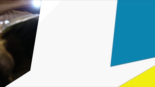 Butterfly Adaptations – How They Come By Their Colors