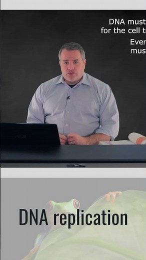 DNA replication | Homeschool biology