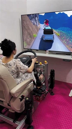 Female Driver - Euro Truck Simulator 2 #EuroTruckSimulator2 #ETS2 #shorts