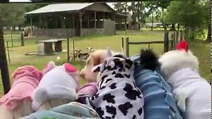 60K views · 6.4K reactions | In honor of #NationalSiblingsDay and...