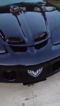 Trans Am 2001 ws6 front plate solution