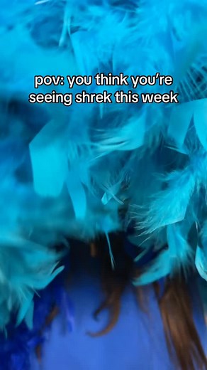 1.7K views | #shrek #trending #rio #bird #theatre | Sock 'N' Buskin | Facebook