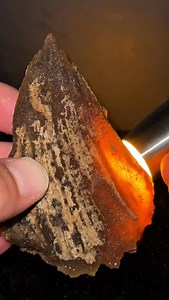 What’s inside this translucent coral head? 🪸✨ #crystals #minerals #coral #geode #geology #rocks #agate #druzy #quartz | CoralGeodes