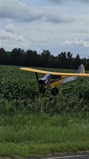 I've never seen an RC plane this HUGE! in person ✈️😱 #rc #rcplane #huge