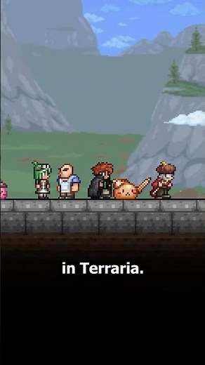 The BEST NPC in Terraria Everyone Ignores!