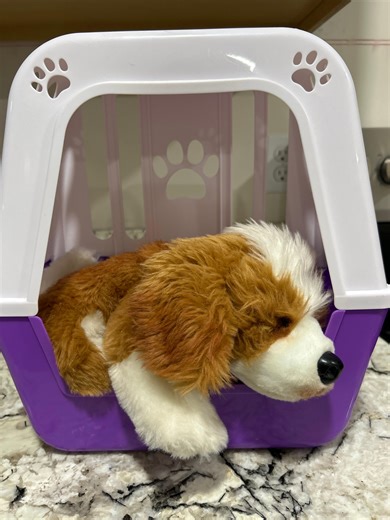 Watch Little Live Pets Puppy Review - What parents should know on Amazon Live