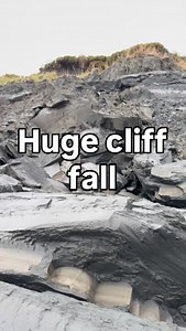 Recently fell #fossils #cliff #fall | UK Fossils