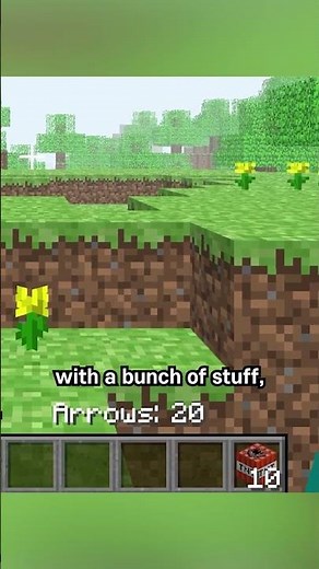 spawning with 20 arrows and 10 tnt for some reason